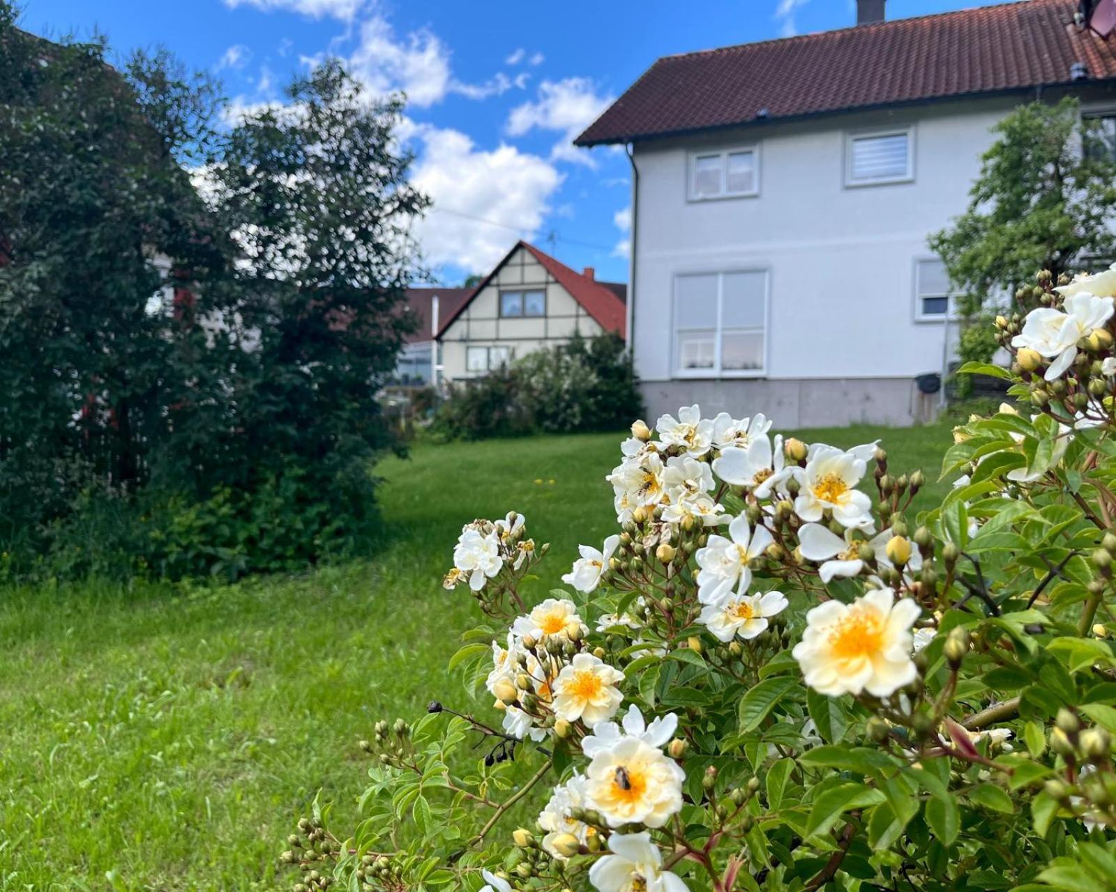 Ferienwohnung Am Hof Zwiefalten Exteriér fotografie